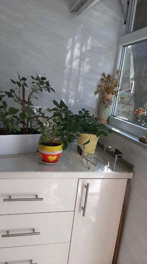Newly Renovated House Apartment Tbilisi ภายนอก รูปภาพ