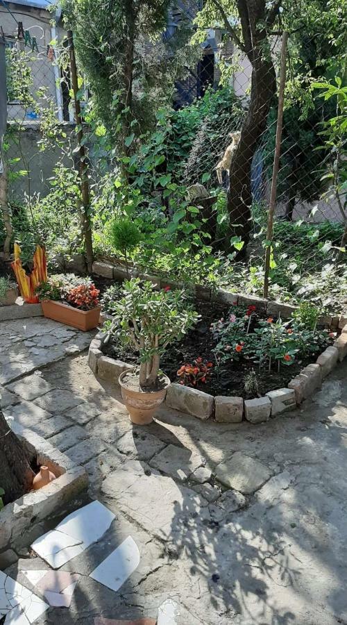 Newly Renovated House Apartment Tbilisi ภายนอก รูปภาพ